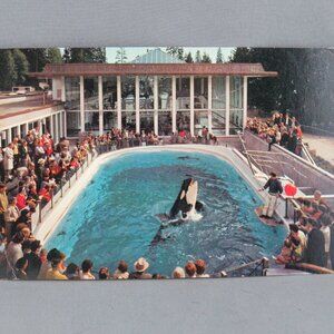 Vintage Postcard - Vancouver Aquarium Orca Show - Natural Color Productions